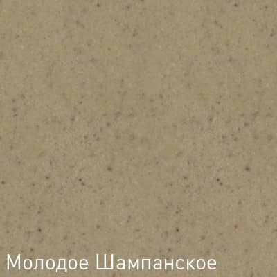 Купить Мойка Zigmund & Shtain Rechteck 600.2 кухонная гранитная Молодое шампанское по низкой цене