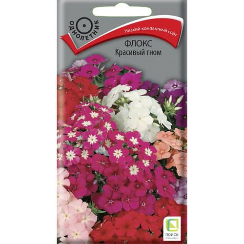 Купить Флокс Красивый гном по низкой цене