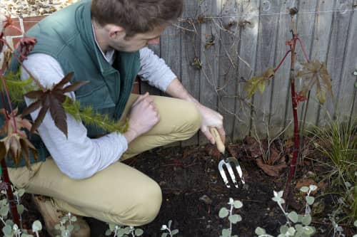 Купить Вилка Burgon & Ball садовая по низкой цене