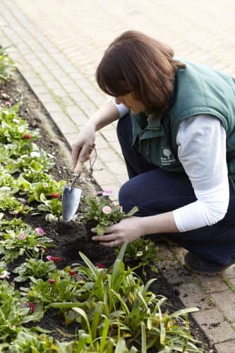 Купить Совок Burgon & Ball садовый, 30 см по низкой цене