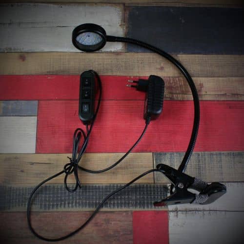 Купить Фитосветильник Luxury Plants LED светодиодный, 6 Вт по низкой цене