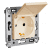 Купить Розетка DKC 4405013 Avanti 2P+E одноместная с заземлением и защитными шторками с крышкой Ванильная дымка по низкой цене