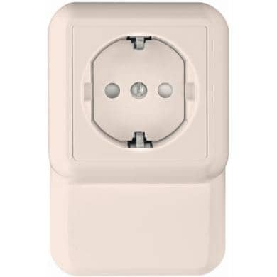 Купить Розетка плинтусная Schneider Electric Прима RA16-003-2M-S одноместная Слоновая кость по низкой цене