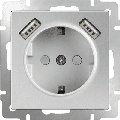 Купить Розетка Werkel WL06-SKGS-USBx2-IP20 одноместная с USBх2 с заземлением и защитными шторкам серебряный по низкой цене