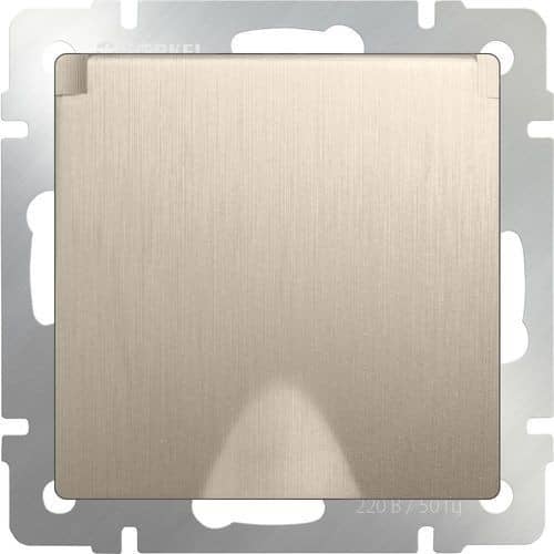 Купить Розетка Werkel WL10-SKGSC-01-IP44 одноместная с заземлением и защитными шторкам с крышкой шампань рифленый по низкой цене