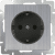 Купить Розетка Werkel WL02-SKGS-01-IP44 одноместная с заземлением и защитными шторками глянцевый никель по низкой цене