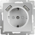 Купить Розетка Werkel WL06-SKGS-USBx2-IP20 одноместная с USBх2 с заземлением и защитными шторкам серебряный по низкой цене
