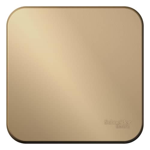 Купить Выключатель Schneider Electric Blanca BLNVA101014 одноклавишный с изолирующей пластиной титан по низкой цене