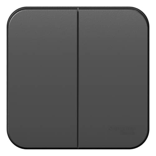 Купить Выключатель Schneider Electric Blanca BLNVA105016 двухклавишный с изолирующей пластиной антрацит по низкой цене