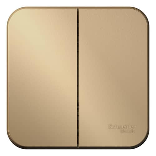 Купить Выключатель Schneider Electric Blanca BLNVA105014 двухклавишный с изолирующей пластиной титан по низкой цене