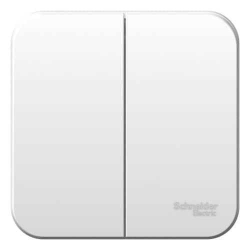 Купить Выключатель Schneider Electric Blanca BLNVA065001 двухклавишный белый по низкой цене
