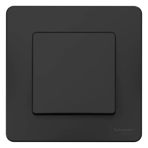 Купить Выключатель Schneider Electric Blanca BLNVS010106 одноклавишный антрацит по низкой цене