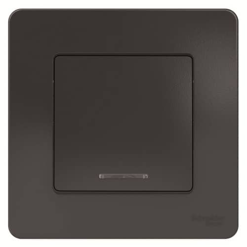Купить Выключатель Schneider Electric Blanca BLNVS010116 одноклавишный с индикатором антрацит по низкой цене