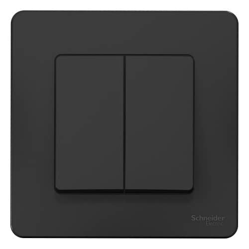 Купить Выключатель Schneider Electric Blanca BLNVS010506 двухклавишный антрацит по низкой цене