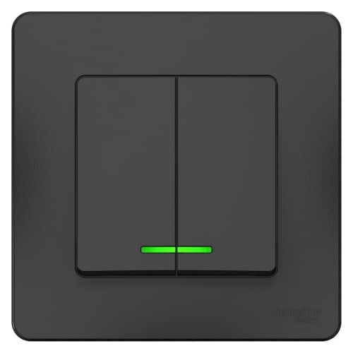 Купить Выключатель Schneider Electric Blanca BLNVS010516 двухклавишный с индикатором антрацит по низкой цене