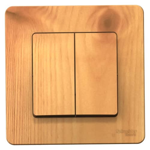 Купить Выключатель Schneider Electric Blanca BLNVS010505 двухклавишный ясень по низкой цене