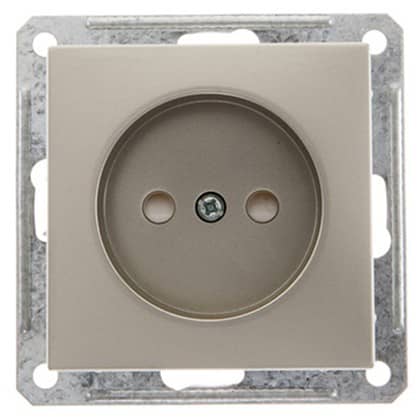 Купить Розетка Schneider Electric W59 RS16-151-4-86 одноместная с защитными шторками шампань по низкой цене