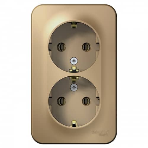 Купить Розетка Schneider Electric Blanca BLNRA010214 двухместная с заземлением и изолирующей пластиной титан по низкой цене