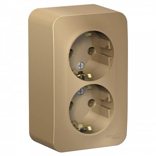 Купить Розетка Schneider Electric Blanca BLNRA010214 двухместная с заземлением и изолирующей пластиной титан по низкой цене