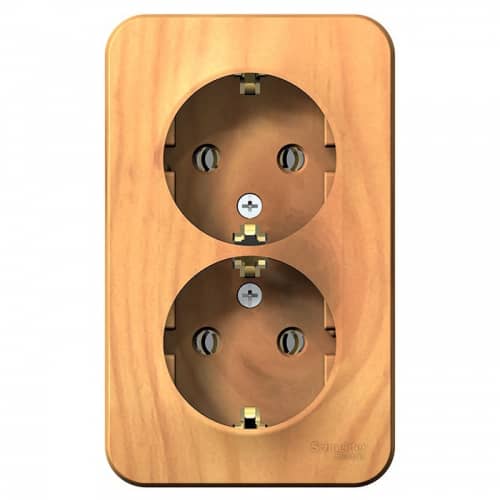 Купить Розетка Schneider Electric Blanca BLNRA010215 двухместная с заземлением и изолирующей пластиной ясень по низкой цене