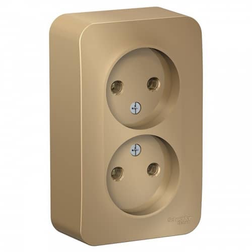 Купить Розетка Schneider Electric Blanca BLNRA000214 двухместная без заземления с изолирующей пластиной титан по низкой цене