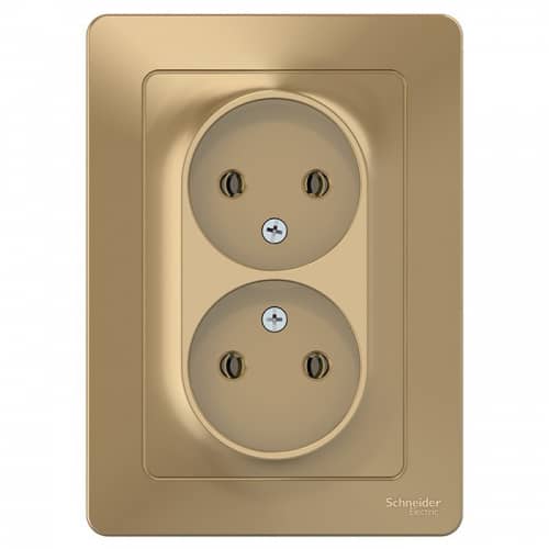 Купить Розетка Schneider Electric Blanca BLNRS000024 двухместная без заземления титан по низкой цене