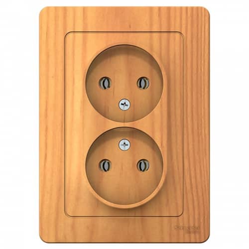 Купить Розетка Schneider Electric Blanca BLNRS000025 двухместная без заземления ясень по низкой цене