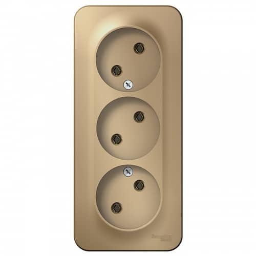 Купить Розетка Schneider Electric Blanca BLNRA000314 трехместная без заземления с изолирующей пластиной титан по низкой цене