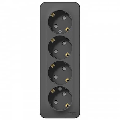 Купить Розетка Schneider Electric Blanca BLNRA000416 четырехместная с заземлением и защитными шторками с изолирующей пластиной антрацит по низкой цене