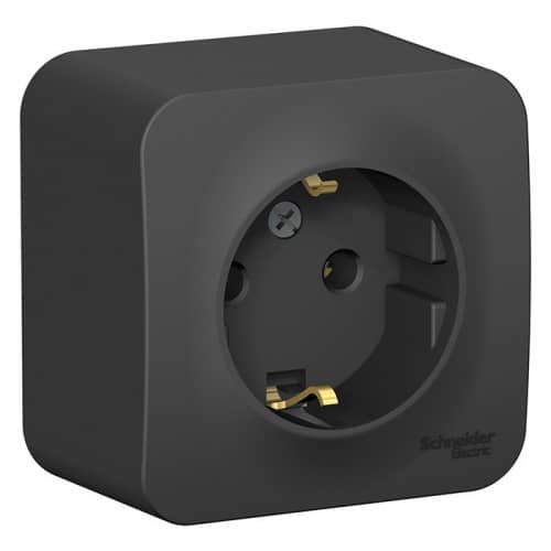 Купить Розетка Schneider Electric Blanca BLNRA010116 одноместная с заземлением и изолирующей пластиной антрацит по низкой цене