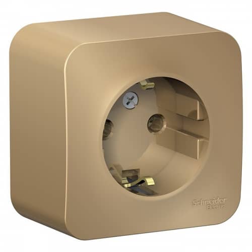 Купить Розетка Schneider Electric Blanca BLNRA010114 одноместная с заземлением и изолирующей пластиной титан по низкой цене