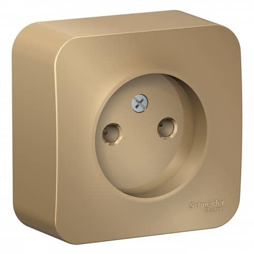 Купить Розетка Schneider Electric Blanca BLNRA000114 одноместная без заземления с изолирующей пластиной титан по низкой цене