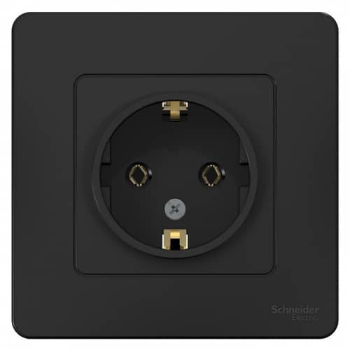 Купить Розетка Schneider Electric Blanca BLNRS001016 одноместная с заземлением антрацит по низкой цене