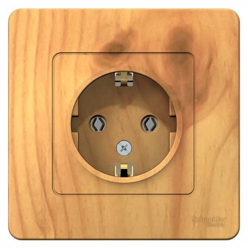 Купить Розетка Schneider Electric Blanca BLNRS001015 одноместная с заземлением ясень по низкой цене