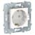 Купить Розетка Schneider Electric Unica New NU505618 одноместная с заземлением белый по низкой цене