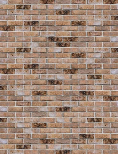 Купить Кирпич Engels Canyon WFD облицовочный ручной формовки 215х100х65 мм по низкой цене