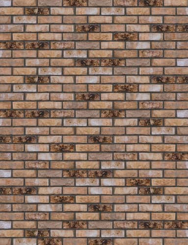 Купить Кирпич Engels Canyon WFD облицовочный ручной формовки 215х100х65 мм по низкой цене