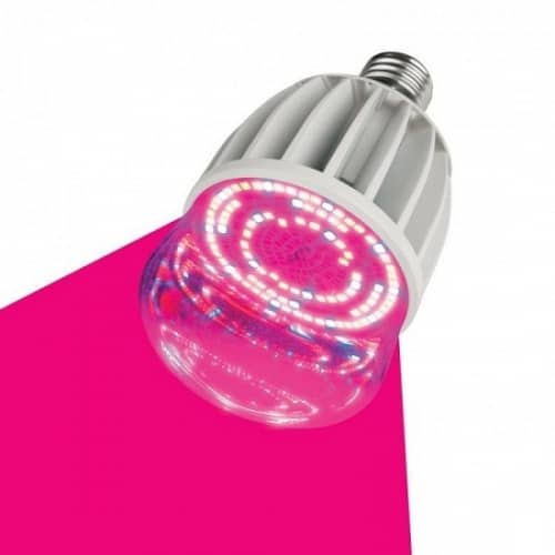 Купить Лампа Uniel LED-M80-20W/SP/E27/CL ALS55WH для растений светодиодная по низкой цене