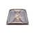бра maytoni letizia arm365-01-r белое e14 60w 220v Купить Бра Maytoni Letizia ARM365-01-R белое E14 60W 220V по низкой цене