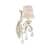 бра maytoni velvet arm219-01-g бежевое e14 60w 220v Купить Бра Maytoni Velvet ARM219-01-G бежевое E14 60W 220V по низкой цене