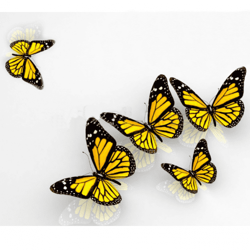 Панель ПВХ Novita 3D Бабочка потолочная 1800х250 мм 6 штук