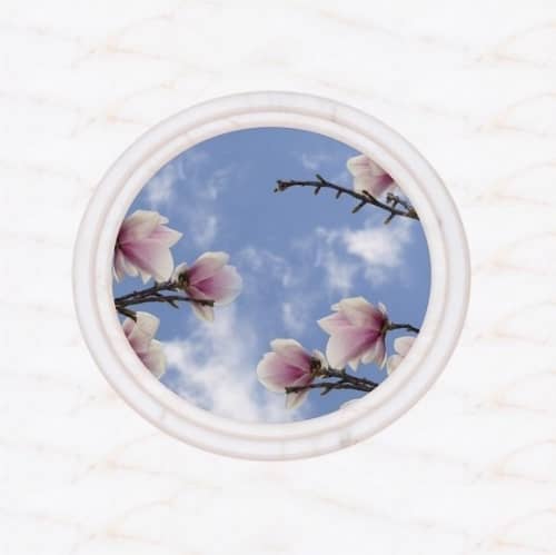 Панель ПВХ Novita 3D Магнолия потолочная 2500х250 мм 8 штук