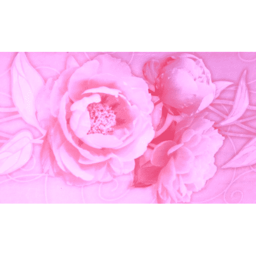 Фартук для кухни Пенопол Пионы ПВХ