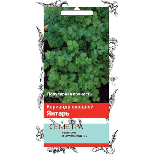 Купить Кориандр Янтарь по низкой цене