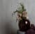 обои marburg loft 59611 виниловые на флизелиновой основе Купить Обои Marburg Loft 59611 виниловые на флизелиновой основе по низкой цене