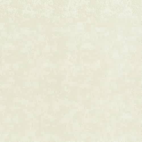 Купить Обои Rasch Maximum XV 832327 виниловые на флизелиновой основе по низкой цене