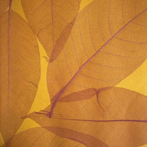 Купить Обои Дизайн Тропик Листья S-9 натуральные по низкой цене