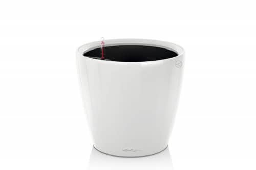 Купить Кашпо Lechuza Classico white high gloss 35x33 см по низкой цене