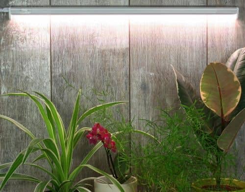 Купить Фитосветильник Luxury Plants светодиодный, 18 Вт по низкой цене