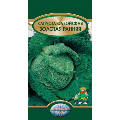 Купить Капуста савойская Золотая ранняя по низкой цене